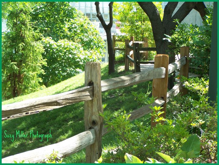 Botanical gardens fence