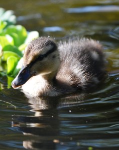 Through Eddie's eyes...