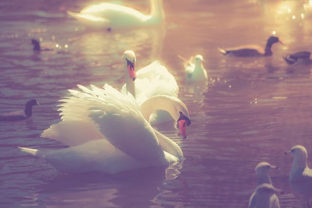 Let Your Light Shine by Kimberly