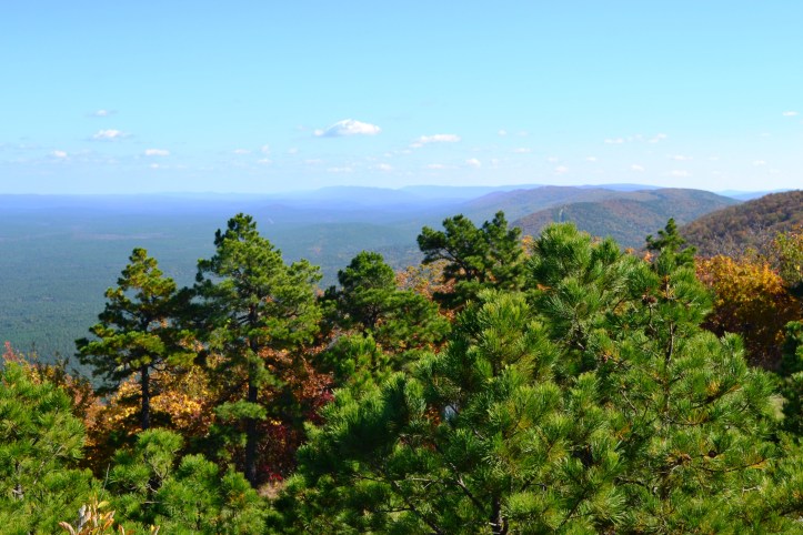 ????????????????????????????????????