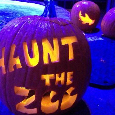 Haunt The Zoo Image